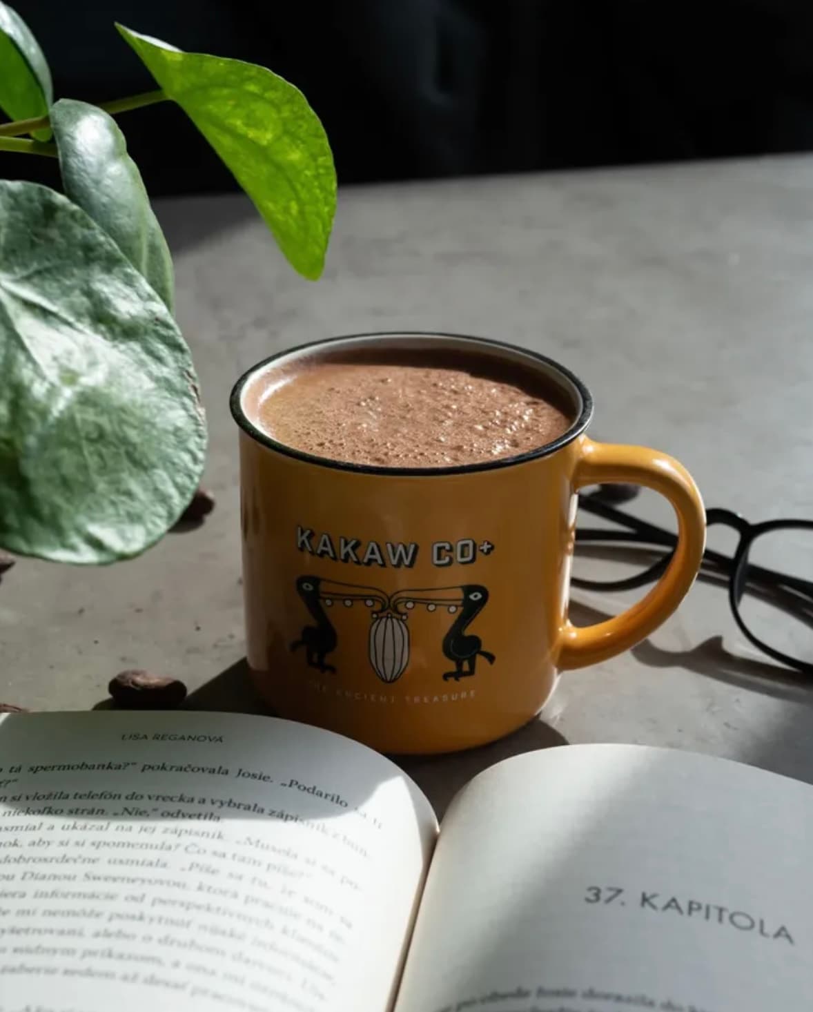 Kakaw Co+ Kakaoterie Mánesova