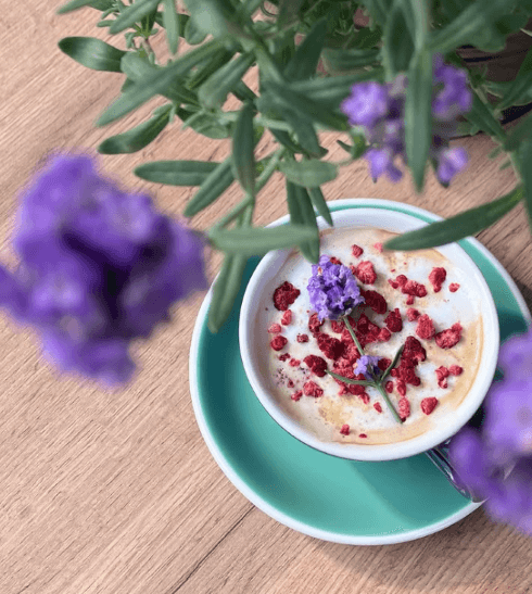 Mariposa Coffee & Bloom