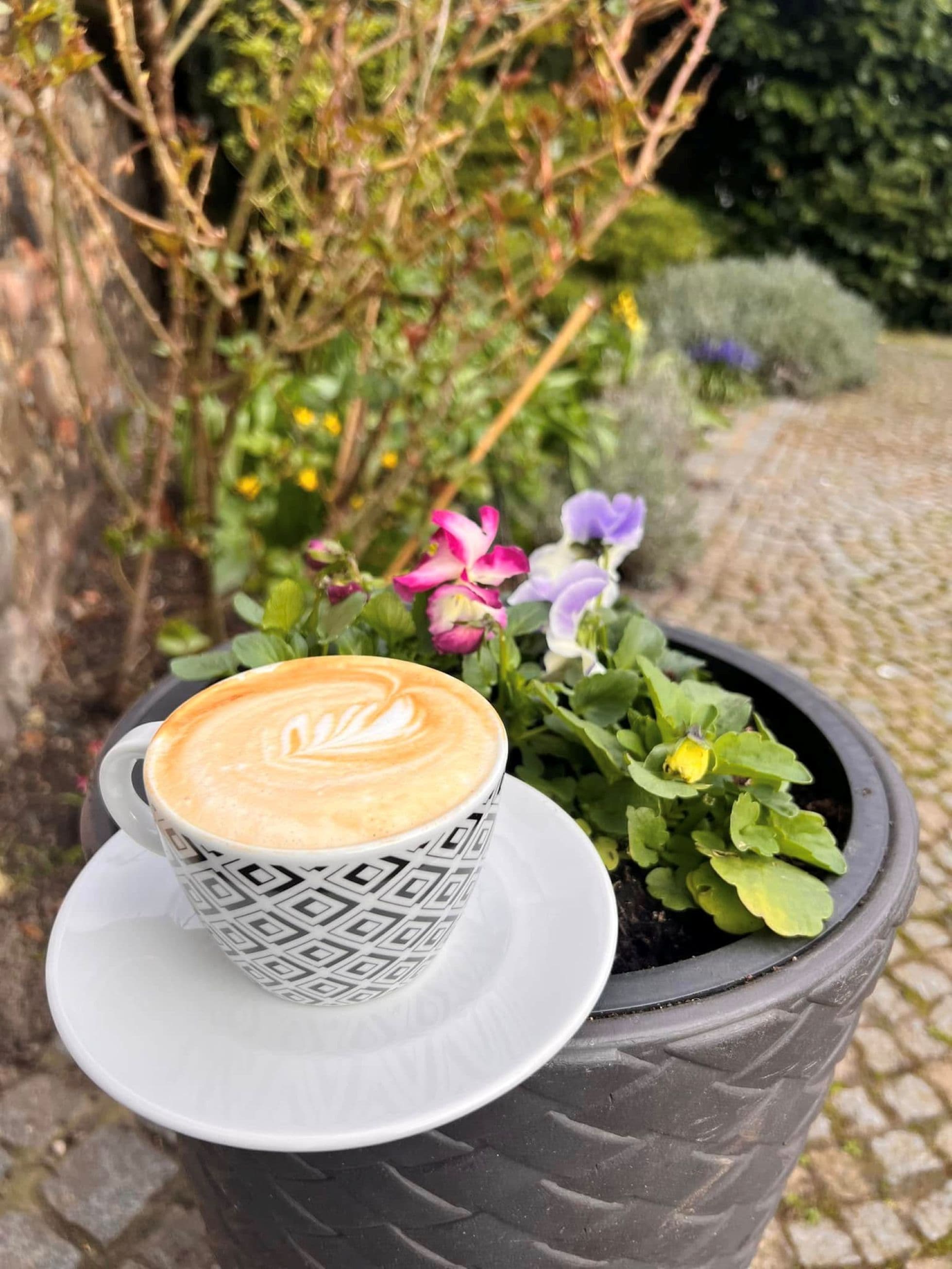 Café Casablanca – foto 4
